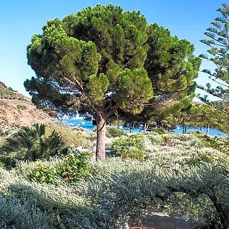 Cala Joncols Rosas