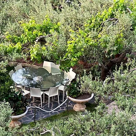 Hotel Cala Joncols 2*