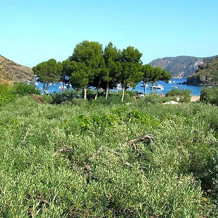 Cala Joncols Rosas