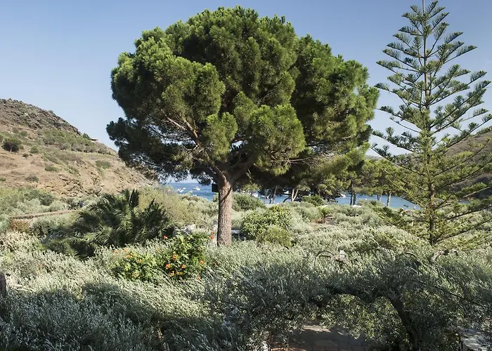 Hotel Cala Joncols Roses