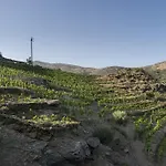 Cala Joncols Roses