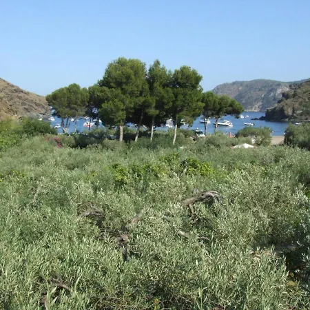 ホテル Cala Joncols 2*